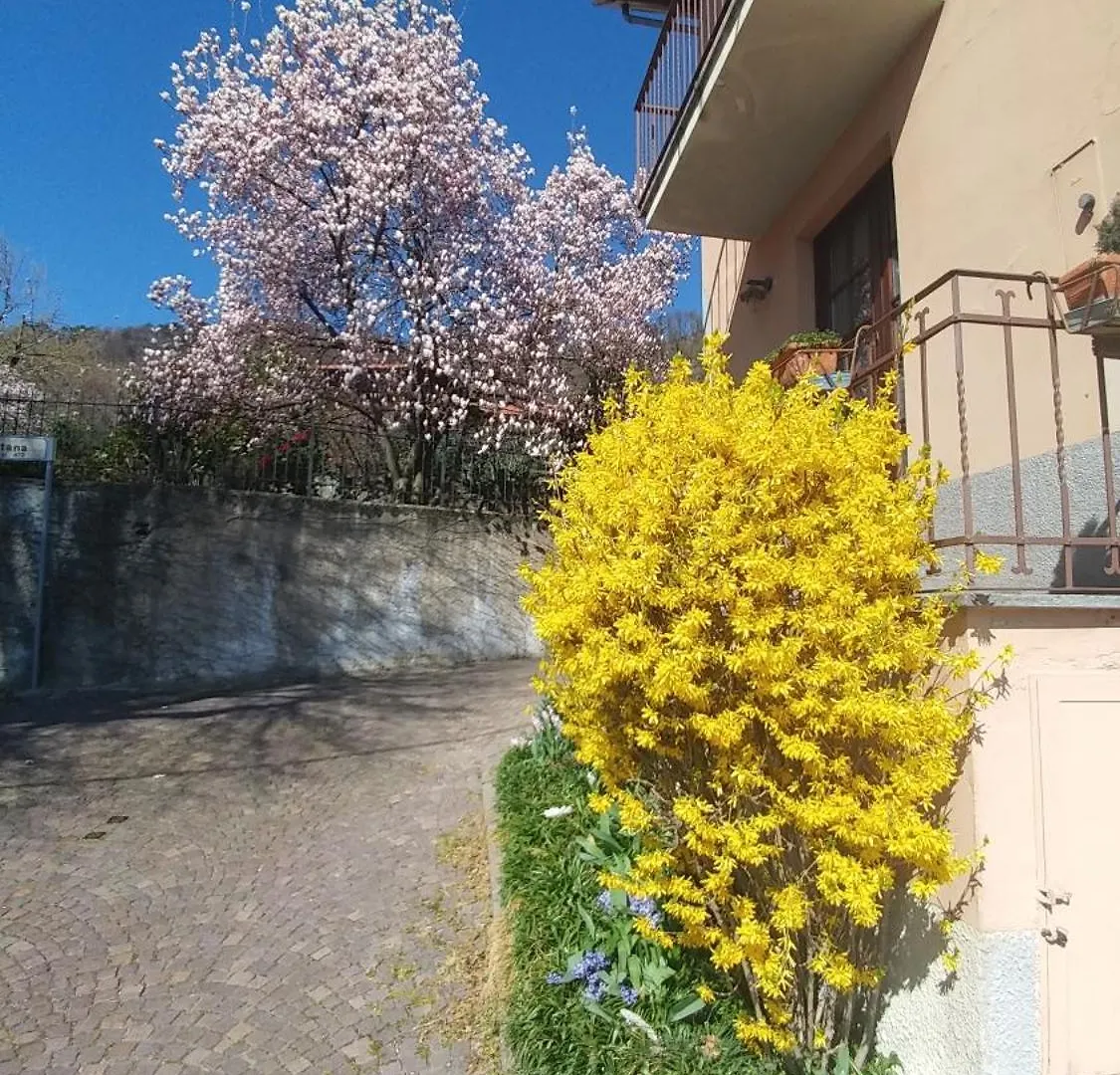 Villa La Casa Di Anna Comabbio